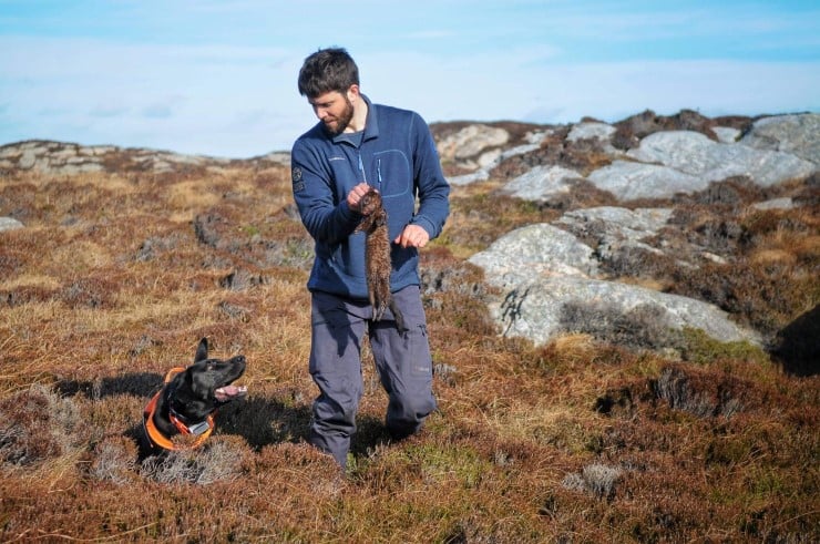 Mann med hund og død mink på holme. 