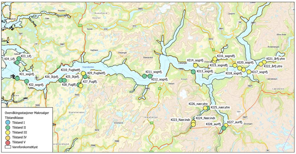 kart som viser fjord med gule og grøne prikkar 
