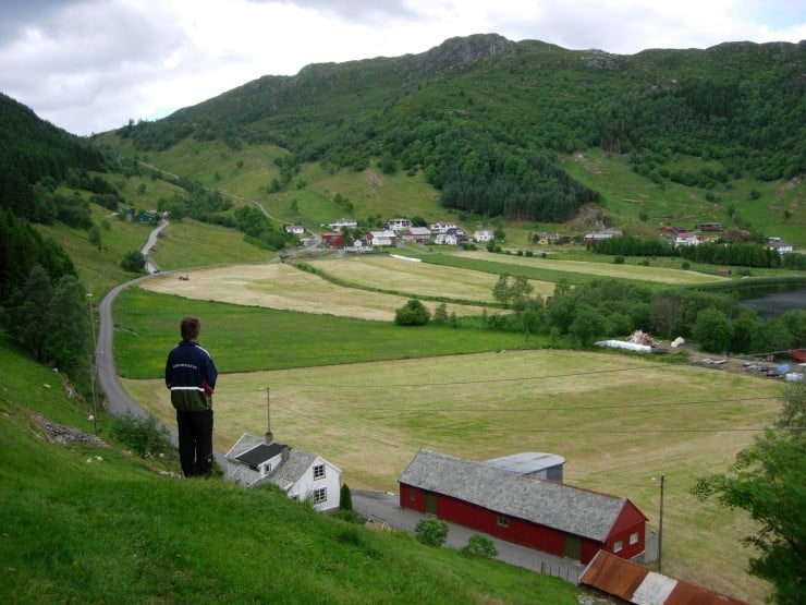 Med ny kalkulator kan du sjekke om du har nok spreieareal for husdyrgjødsel. 