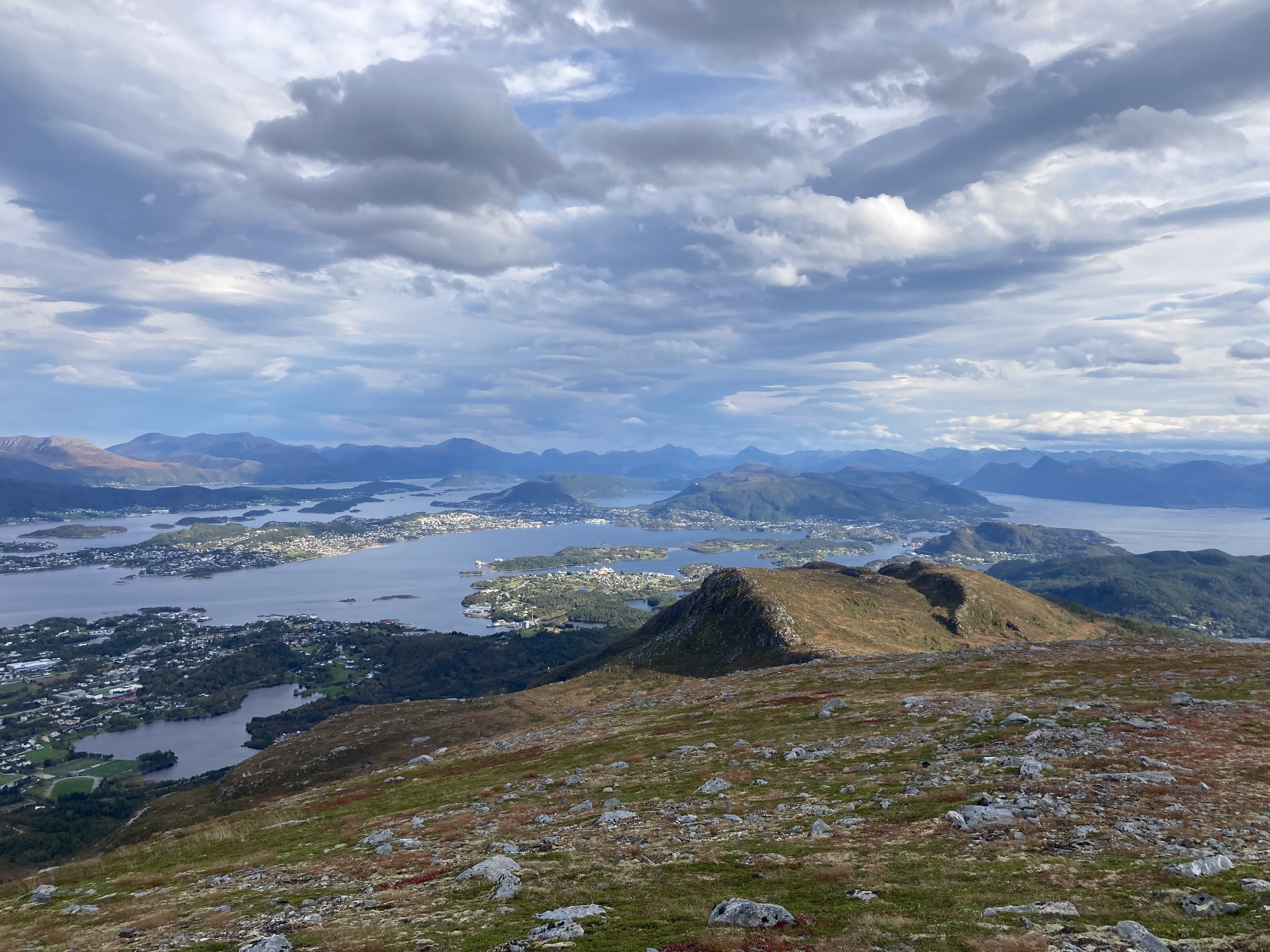 Bildet viser Rundehornet, Sula
