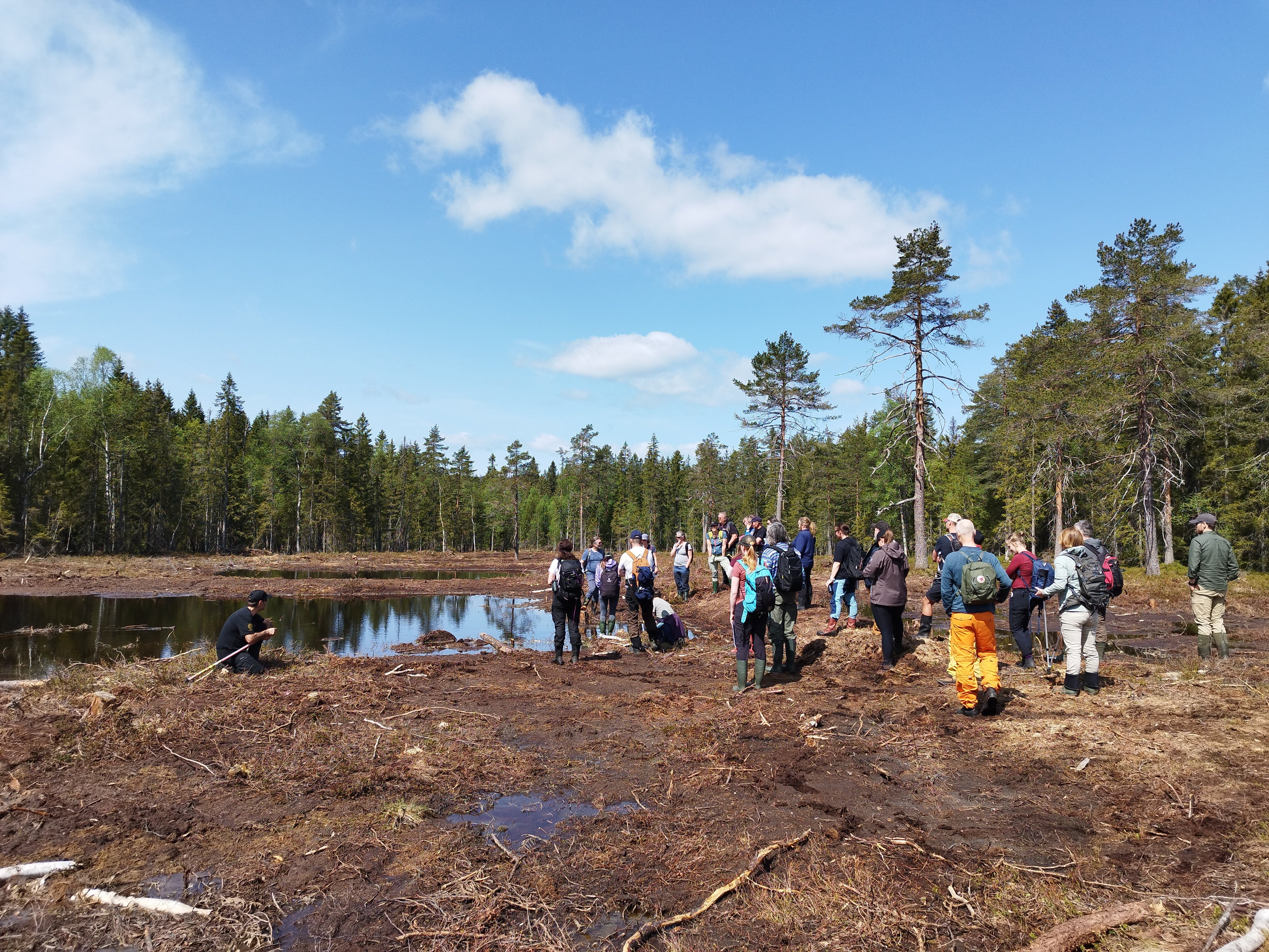 Samling av mennesker på nylig restaurert myr som ser fuktig og gjørmete ut, med grønn skog og blå himmel i bakgrunnen. 