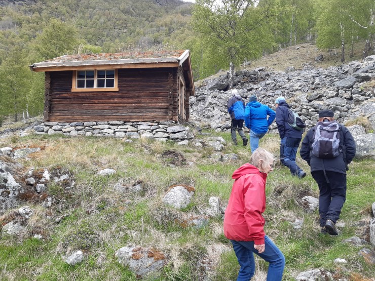 Brunt hus, skog, sti, folk, torvtak