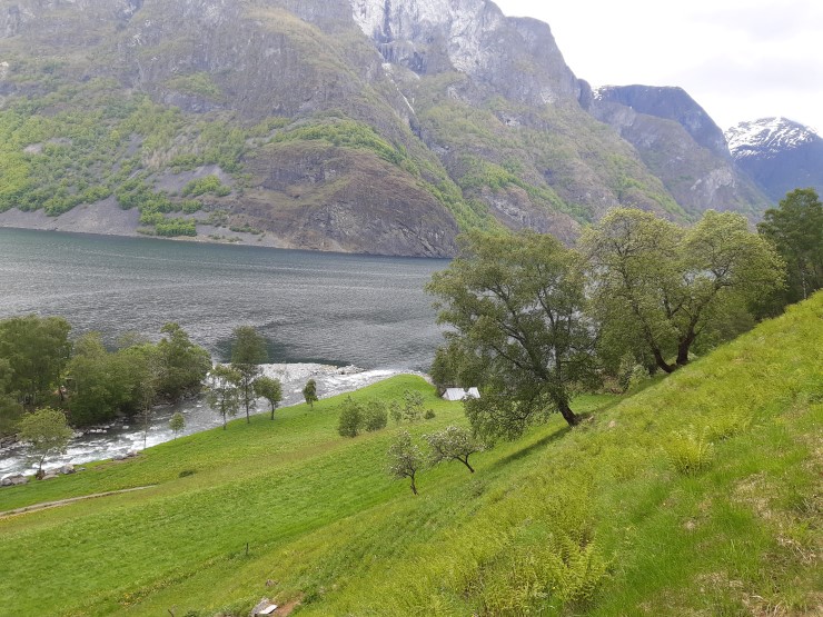 Fjord, fjell, grønne trær og lier, frukttre
