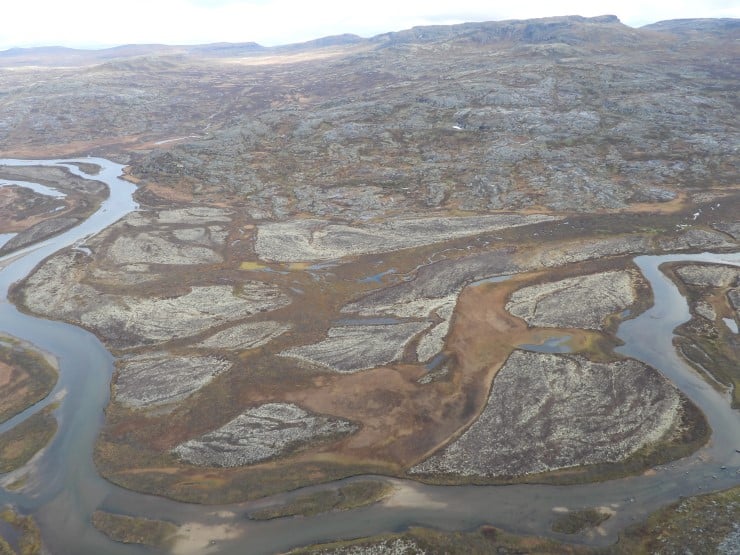 Det er svært mykje vatn og våtmark på Hardangervidda. Berggrunnen er mange stader rik, og det gjer at vasskvaliteten er god. Desse våtmarkene er viktige levestader for mange artar våtmarksfugl. Biletet viser Hadlaskardmyrane i Eidfjord kommune. 