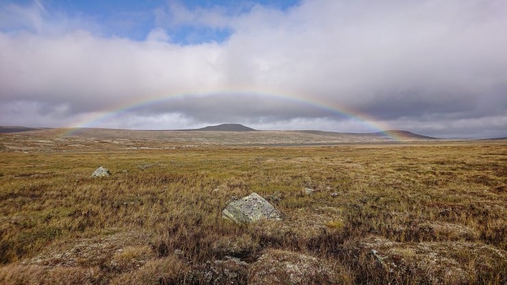 Heller ikkje på Hardangervidda ligg det ei gryte med gull ved enden av regnbogen, men vidda er eit skattkammer i naturfagleg forstand. Parti frå Bakkatjørnane i Nore og Uvdal kommune. 