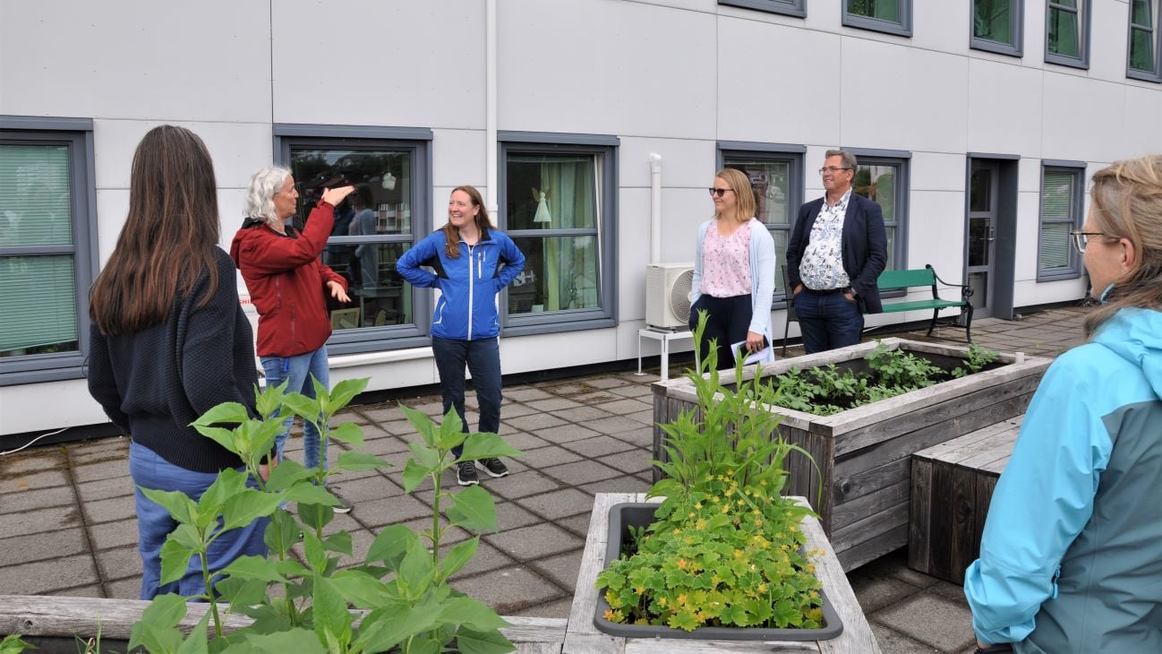 Personer på en takhage med plantekasser