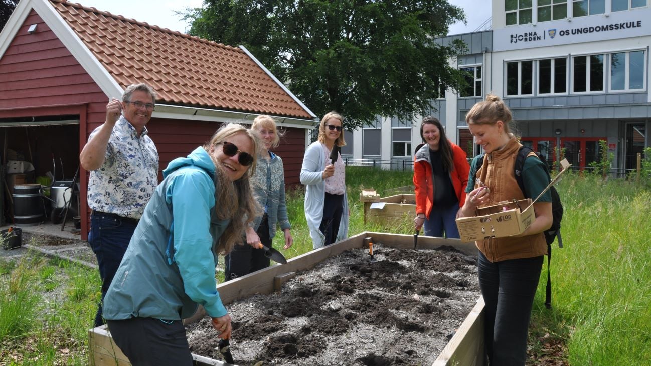 Mennesker rundt en plantekasse, en skole og bygninger i bakgrunnen.
