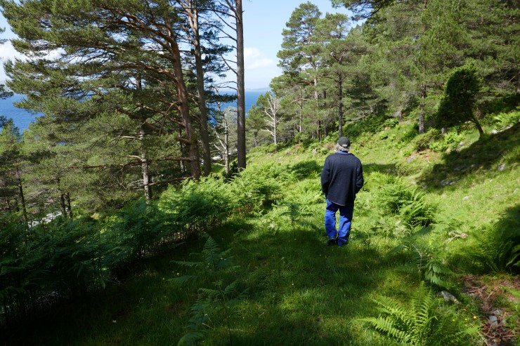Synfaring i Bugen naturreservat med grunneigar. Området har oseaniske berg med regnskogsmiljø, storvokst furuskog og relativt gamal bjørkeblandingsskog med innslag av edellauvtre. 