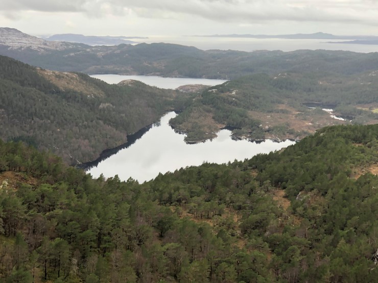 Frå tilbodsområdet som grunneigarane ønskjer verna kan ein sjå heilt ut i havet. Den vestvendte lia ved sidan av Brossvikvatnet har vestnorsk regnskog og gamal lavlandsblandingsskog med fleire artar på den norske rødlista.