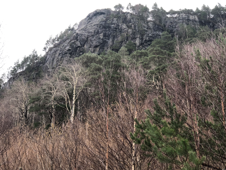 Etter innspel frå Språkrådet og etter drøfting med grunneigarane foreslår vi å endre namnet frå Brosvikvatnet til Skolten naturreservat. Skolten er ein markant fjellnakke sentralt i verneområdet. Frå toppen av Skolten kan ein sjå ut til havet. 