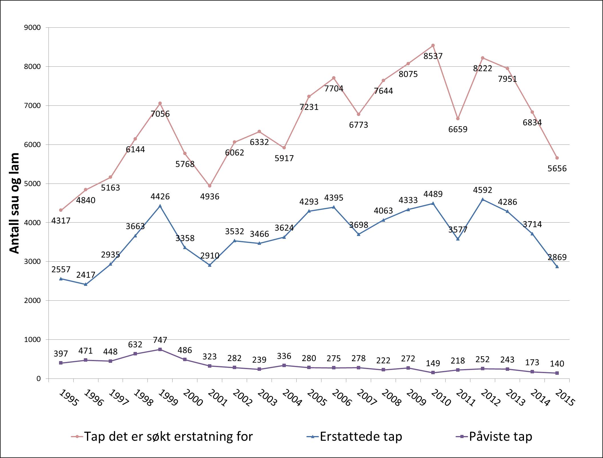 Saueerstatninger 1995-2015 Figuren viser utvikling i antall sau det er søkt om erstatning for, som er erstatta og som er påviste drept av fredet rovvilt i perioden 1995-2015.