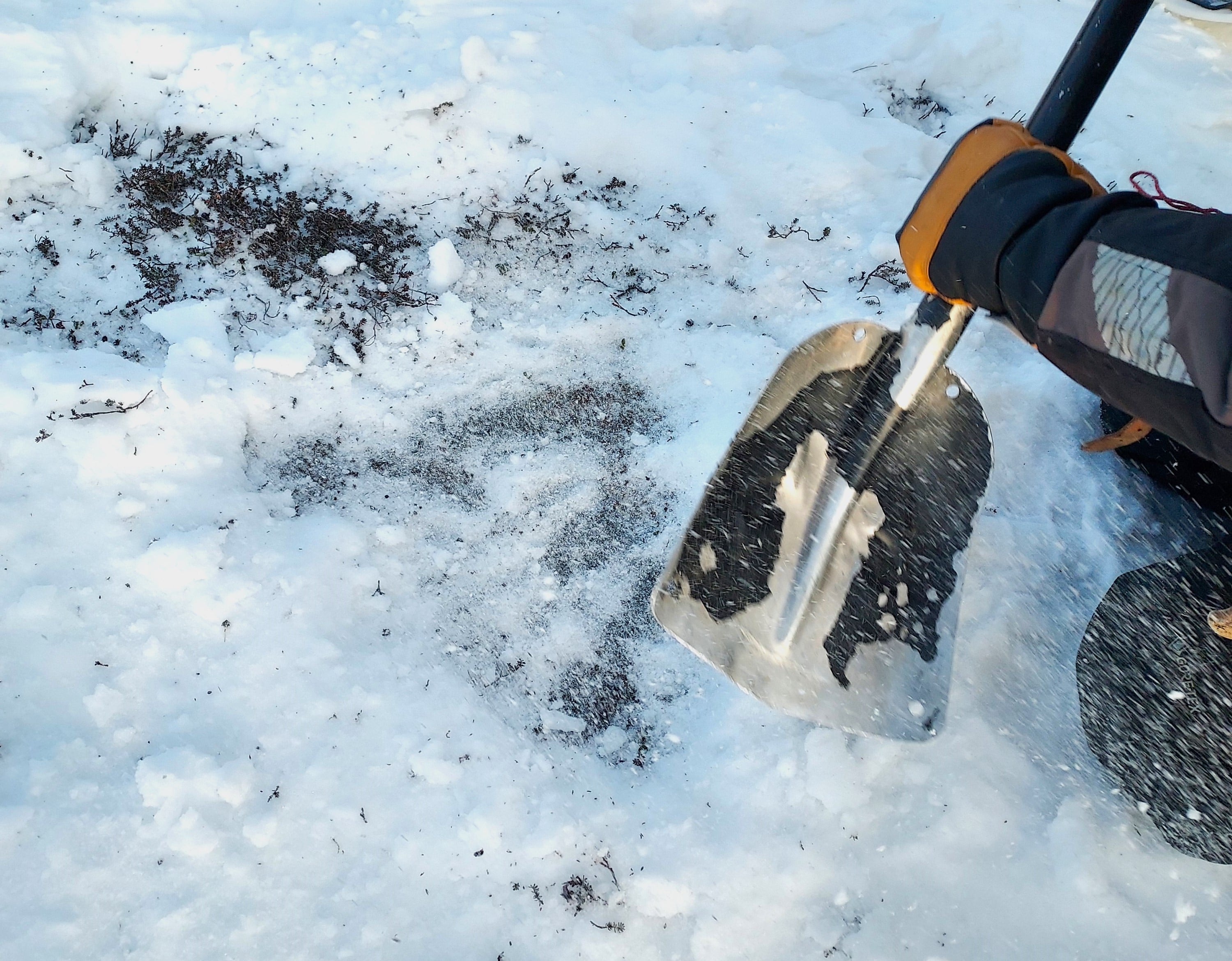 Bildet viser en arm og hånd som holder en spade over lyng delvis dekket av is og snø.