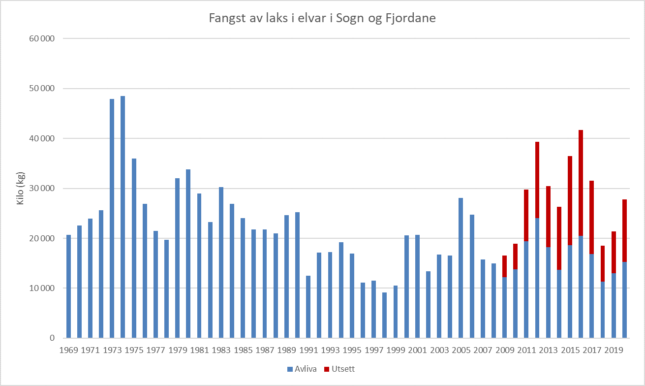 Fangst av laks i elvane i Sogn og Fjordane i perioden 1969 - 2020, avliva og utsett laks.  Fangsttala inkluderer rømt laks tatt i elvane i fiskesesongen. Laks tatt  i sjølaksefisket kjem i tillegg.
