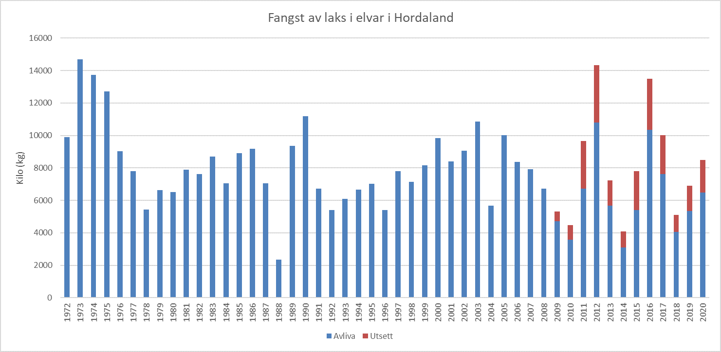 Fangst av laks i elvane i Hordaland i perioden 1972 - 2020, avliva og utsett laks. Fangsttala inkluderer rømt laks tatt i elvane i fiskesesongen. 2004 var siste år med sjølaksefiske i Hordaland, før den tid kom fangst av laks i sjøen i tillegg til elvefisket.  