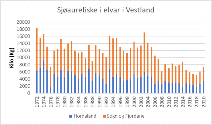 Sjøaurefiske i elvar i Vestland i perioden 1972 - 2020. Gjenutsatt fisk er inkludert i figuren. 