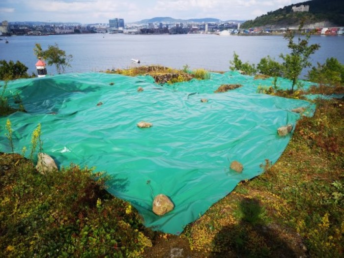 Omr&aring;der som restaureres med duk p&aring; Bleik&oslash;ya