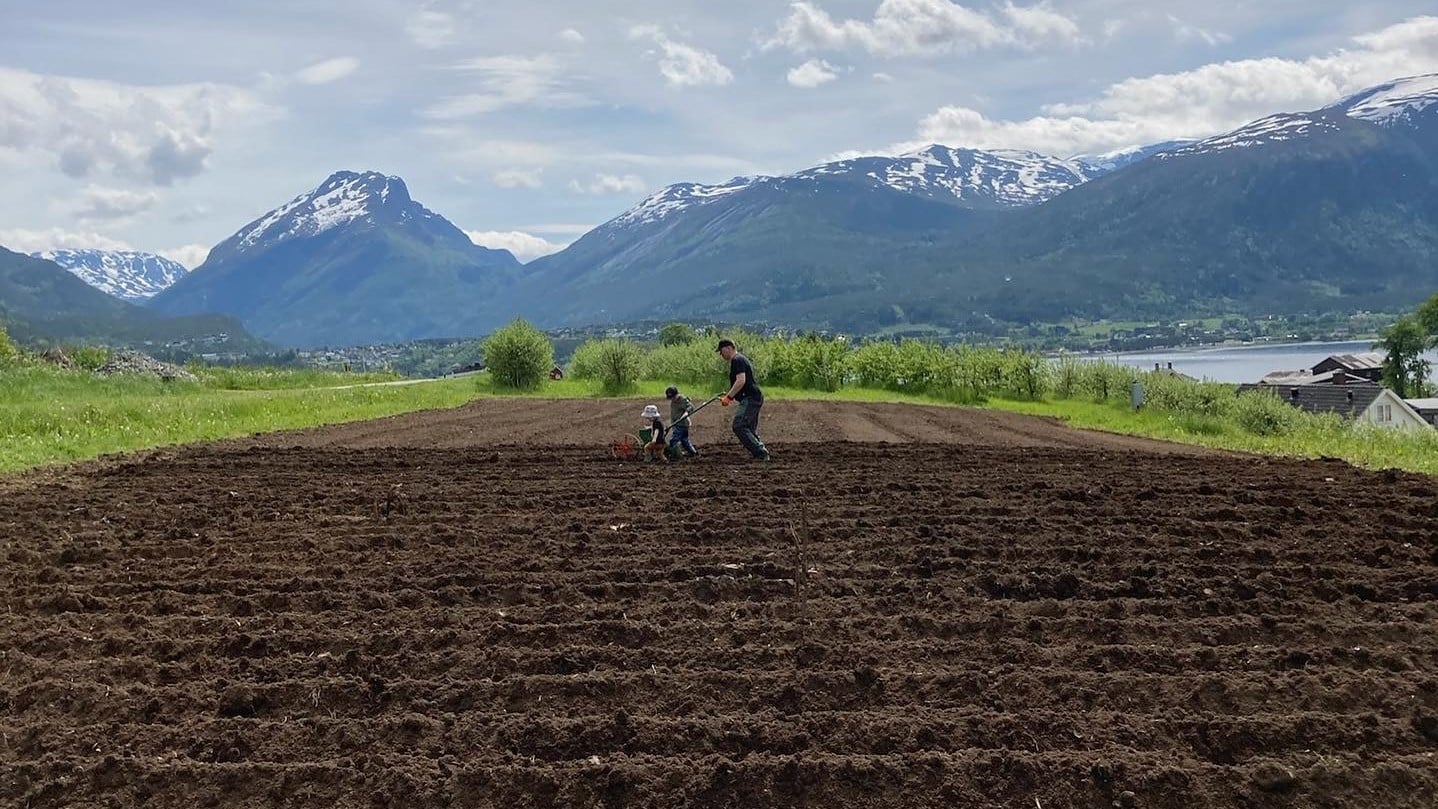 To personer som freser i en brun åpen åker