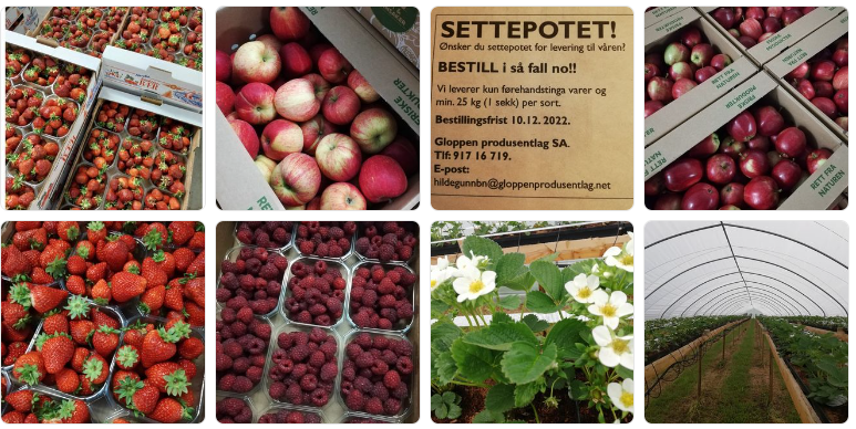 Frukt og bær i et bildecollage