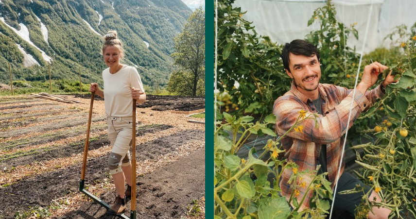 Kvinne med greip i grønnsaksåker til venstre, mann i drivhus med tomatplanter til høyre