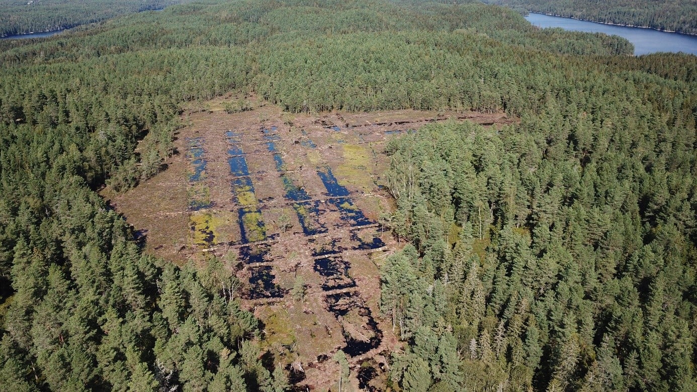 Dronebilde som viser skog og restaurert myr med flere vannspeil. 