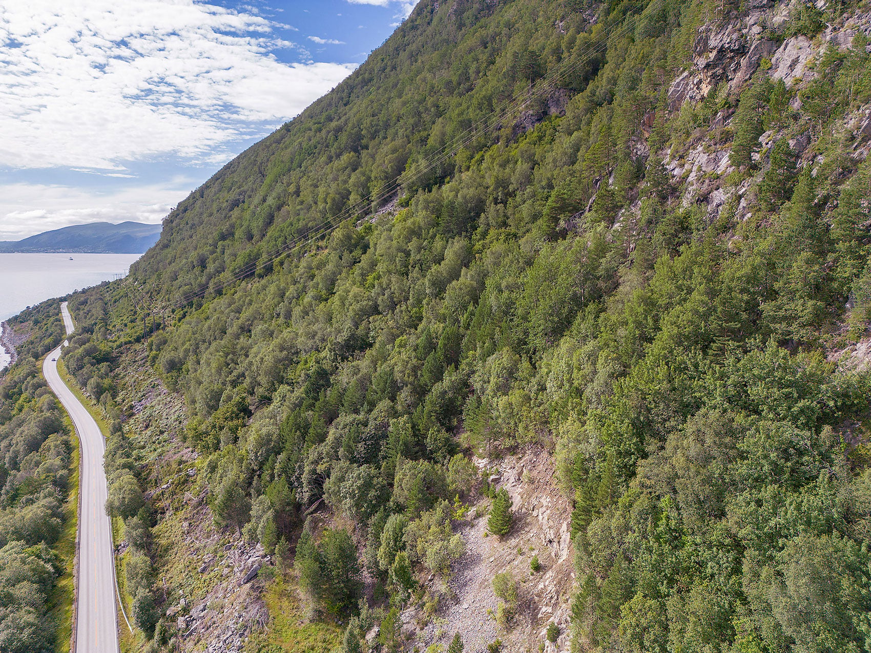 Grøn skog i ei bratt fjellside. En bilveg ligg ved botnen av fjellsida. Sjø og fjell i bakgrunnen.