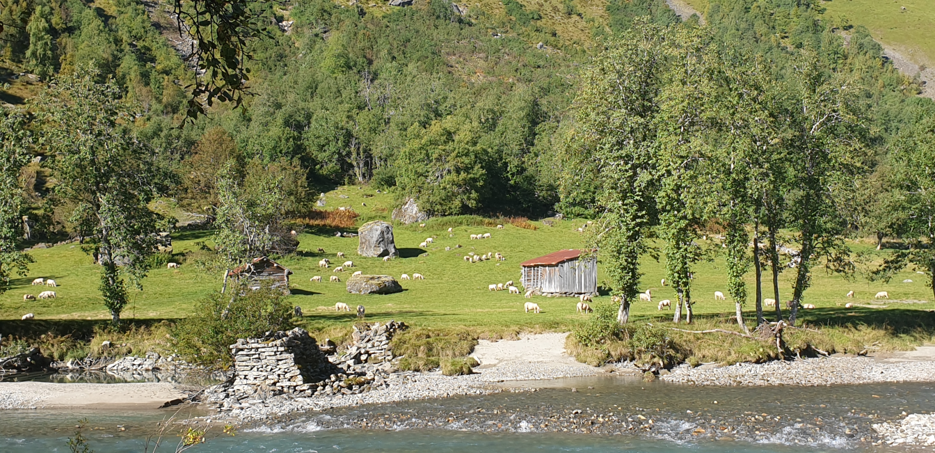 Knivbakkagjerdet, foto av kulturlandskapet for vinnaren 2023 som var Skjolden Beitelag.