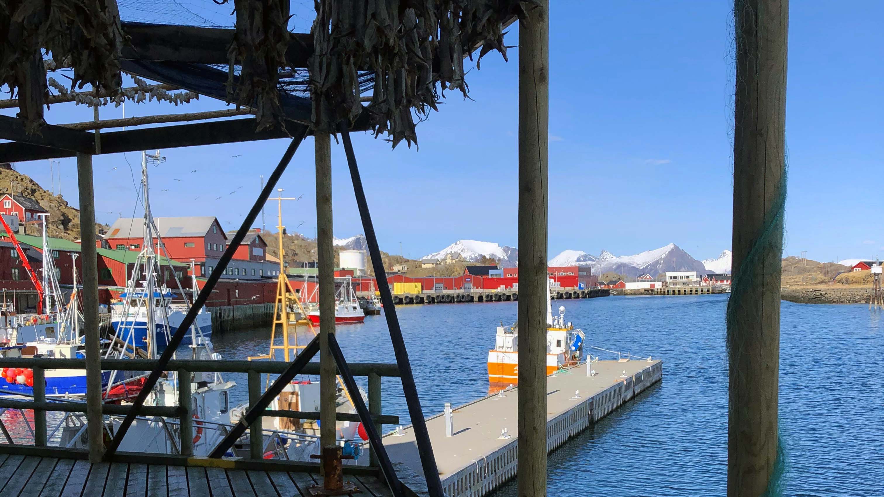 Om lag 4000 gjestearbeidere er ventet til kommuner i Vesterålen og Lofoten under vinterfisket. Her fra Stamsund i Vestvågøy.