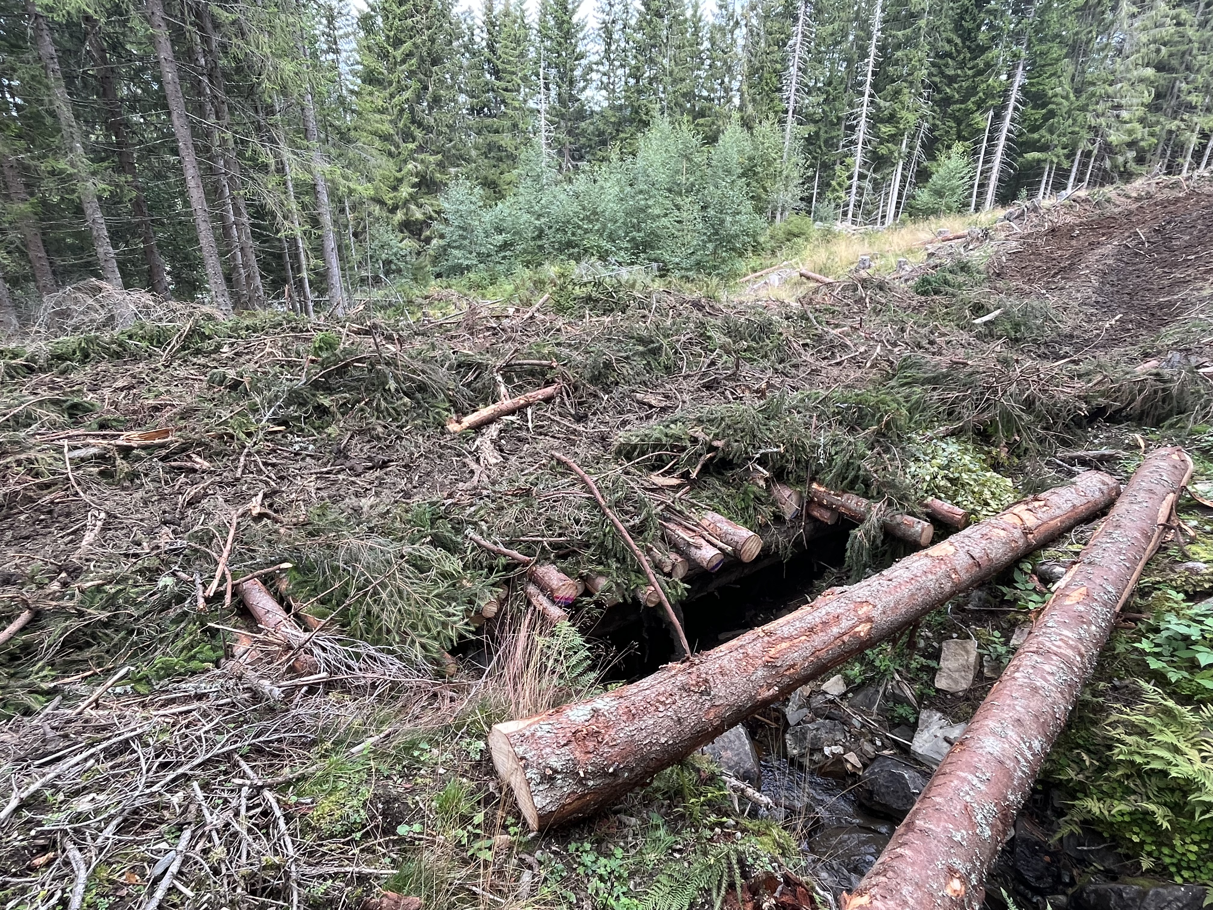 Midlertidig bro bygges for å ivareta bekken. Byggematerialer er virke og bar fra driften som fjernes etter bruk 