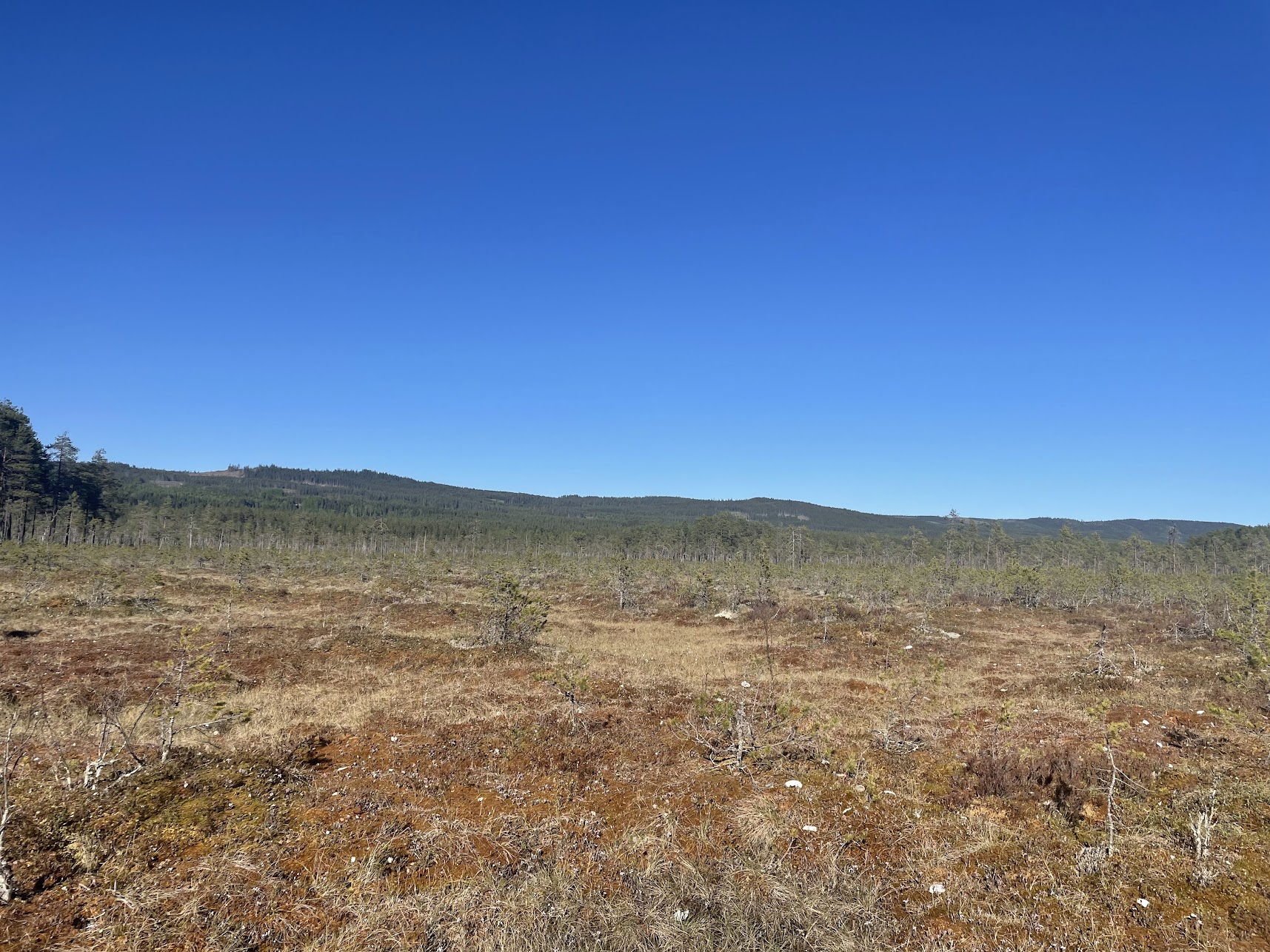 Myr og himmel