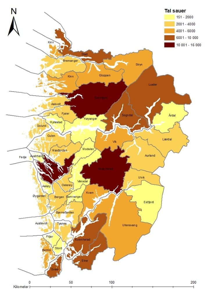Illustrasjon 1. Sau i kommunanen i Vestland. Kjelde: Fylkesmannen i Vestland. Illustrasjon 1. Sau i kommunanen i Vestland. Kjelde: Fylkesmannen i Vestland.
