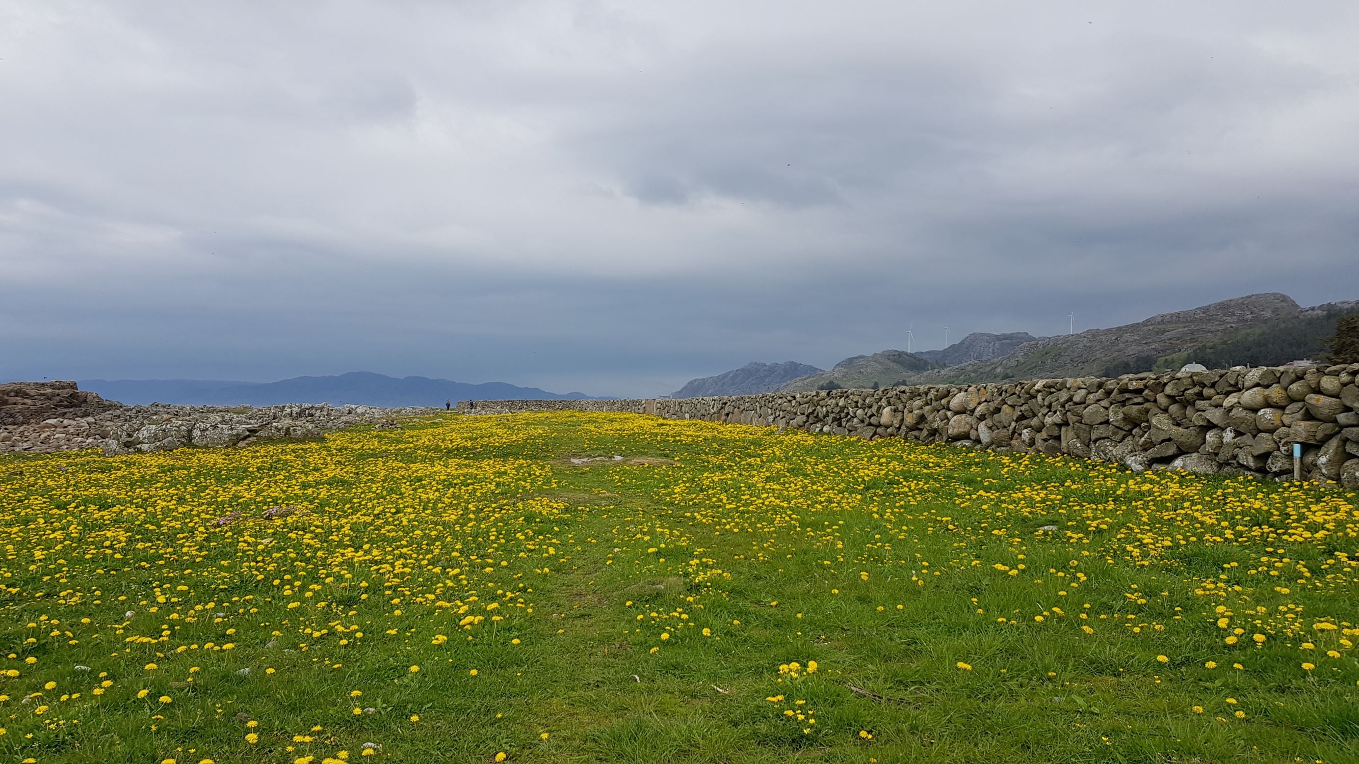 Steingjerde langs kyststien på Kjølleberg.