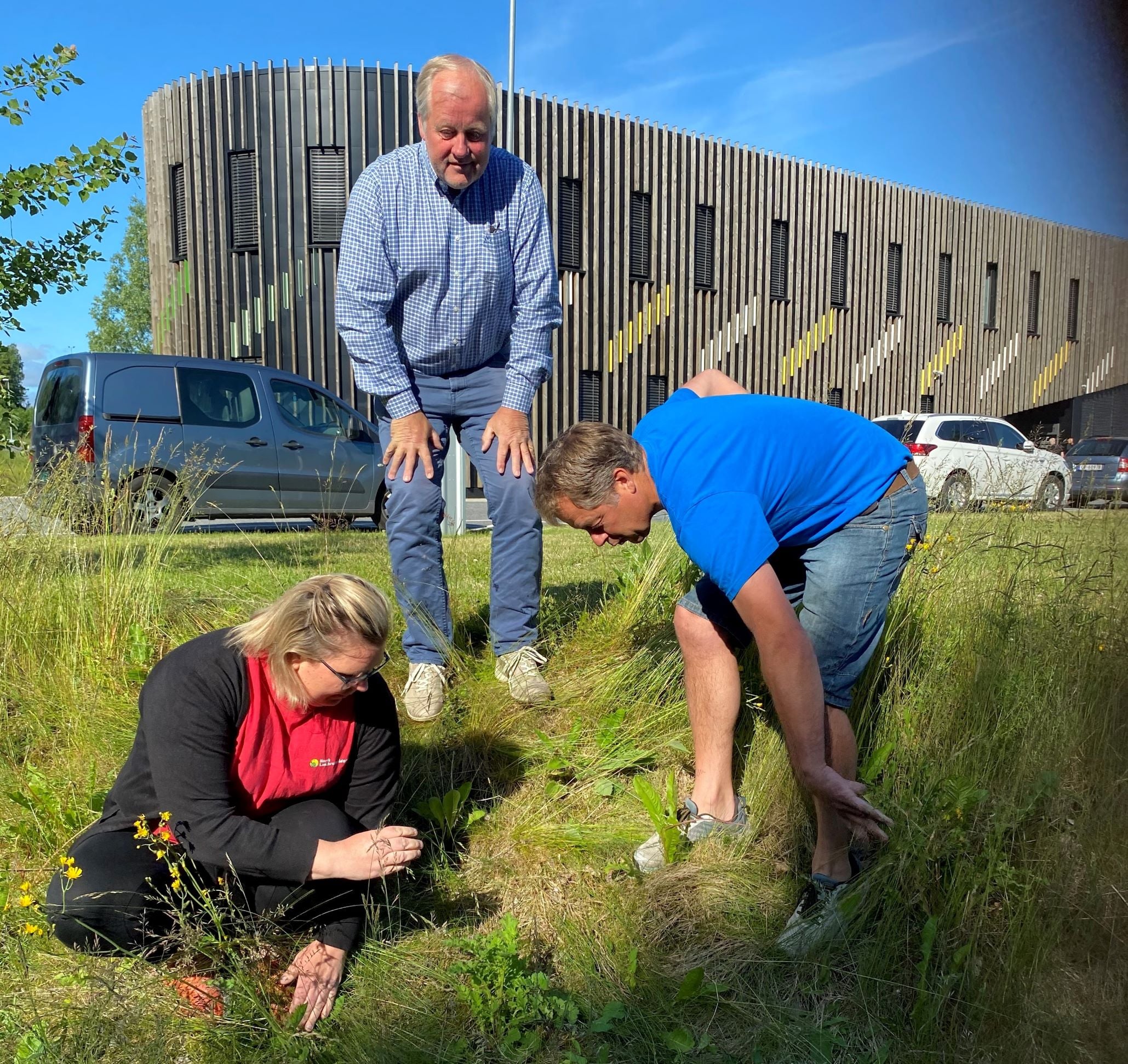 Josefa Andreassen Torp i Norsk landbruksrådgiving Agder, Morten Foss, landbruksrådgiver i Arendal kommune og Roy Vidar Svendsen i Arendal bondelag finner landøyda i en veikant på Stoa i Arendal.