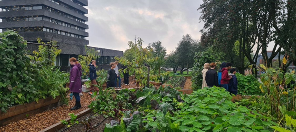 Urbant landbruk i Asker kommune