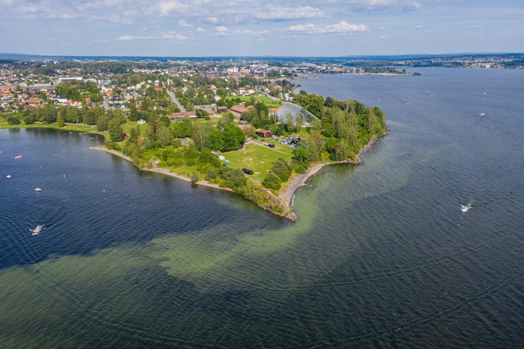 Foto av domkirkeodden og Mjøsa