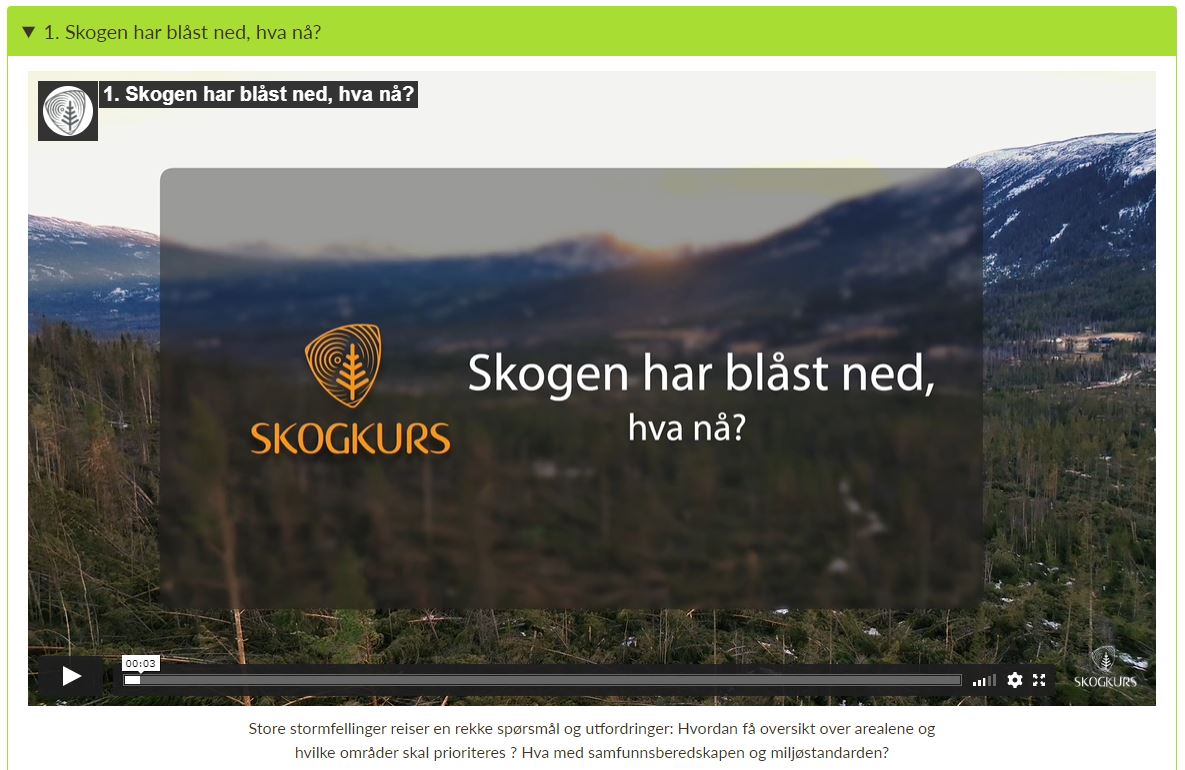 Skjermdump fra Skogkurs sin nettside om vindfallhogst. Her finner du tre filmklipp om hvordan planlegge, prioritere og gjennomføre dette særdeles farefulle opprydningsarbeidet.