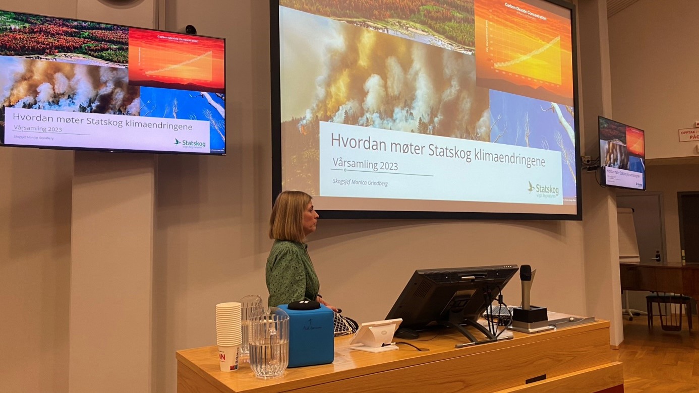 Foto av dame som holder presentasjon