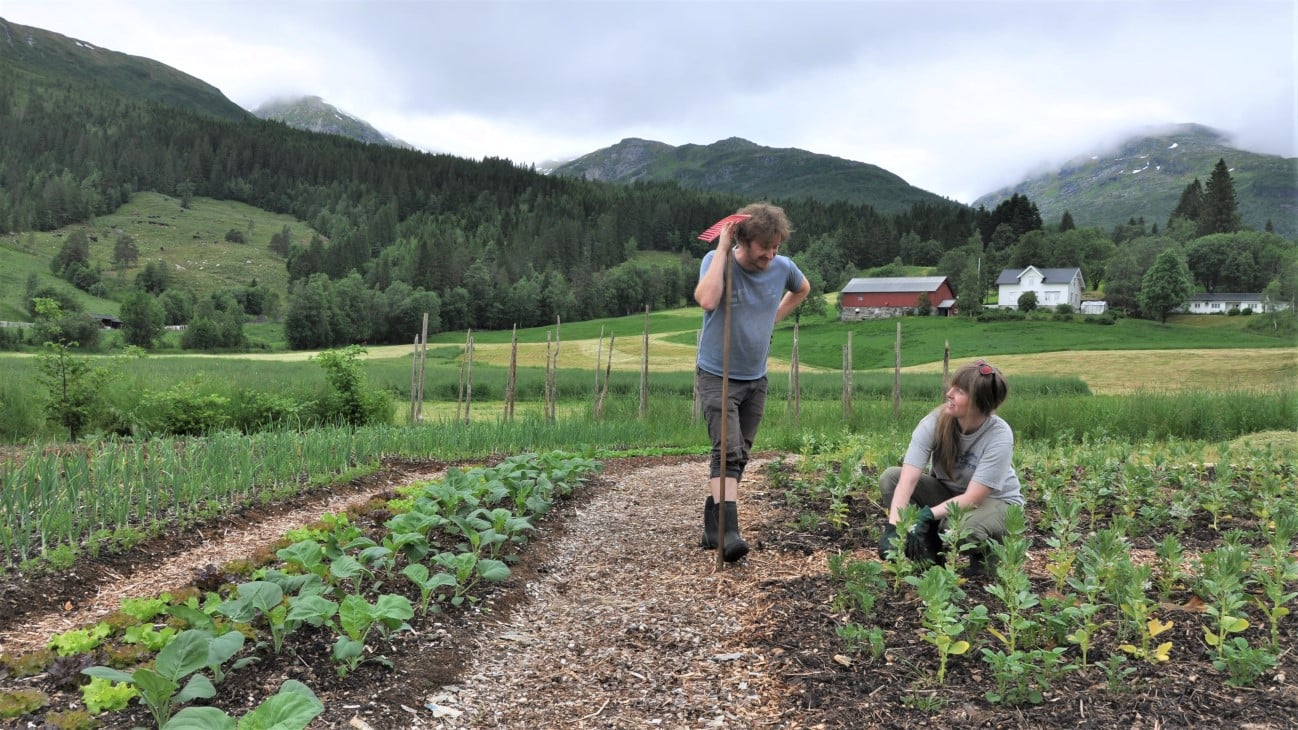 To personer står i grønsaksbed. Gård og fjell i bakgrunnen