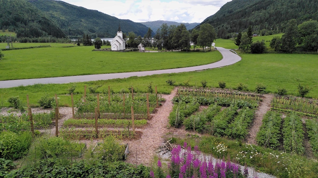 Grønsaksbed i forgrunnen og ei kirke med vann bak i bakgrunnen
