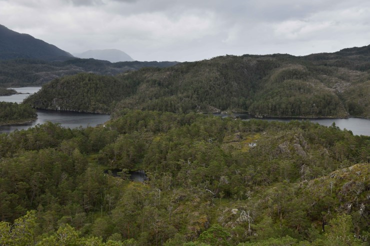 Skogparti frå Austefjorden og Blånuten. Området grensar til Geitaknottane naturreservat som ligg på andre sida av Hatlesteinsvatnet på biletet. Foto: Magnus Johan Steinsvåg © Skogparti frå Austefjorden og Blånuten. Området grensar til Geitaknottane naturreservat som ligg på andre sida av Hatlesteinsvatnet på biletet. Foto: Magnus Johan Steinsvåg ©