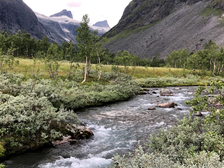 Elv renner langs myr med spisse fjell i bakgrunnen