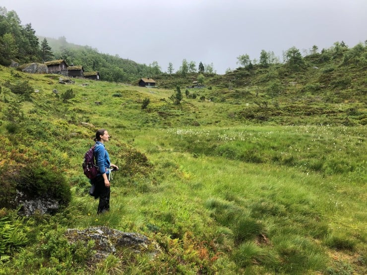 Dalssetra ligg utanfor det føreslegne naturreservatet. Det er eit populært turmål å gå hit, og mange held sela sine godt ved like. Det går sau og beiter i området.  