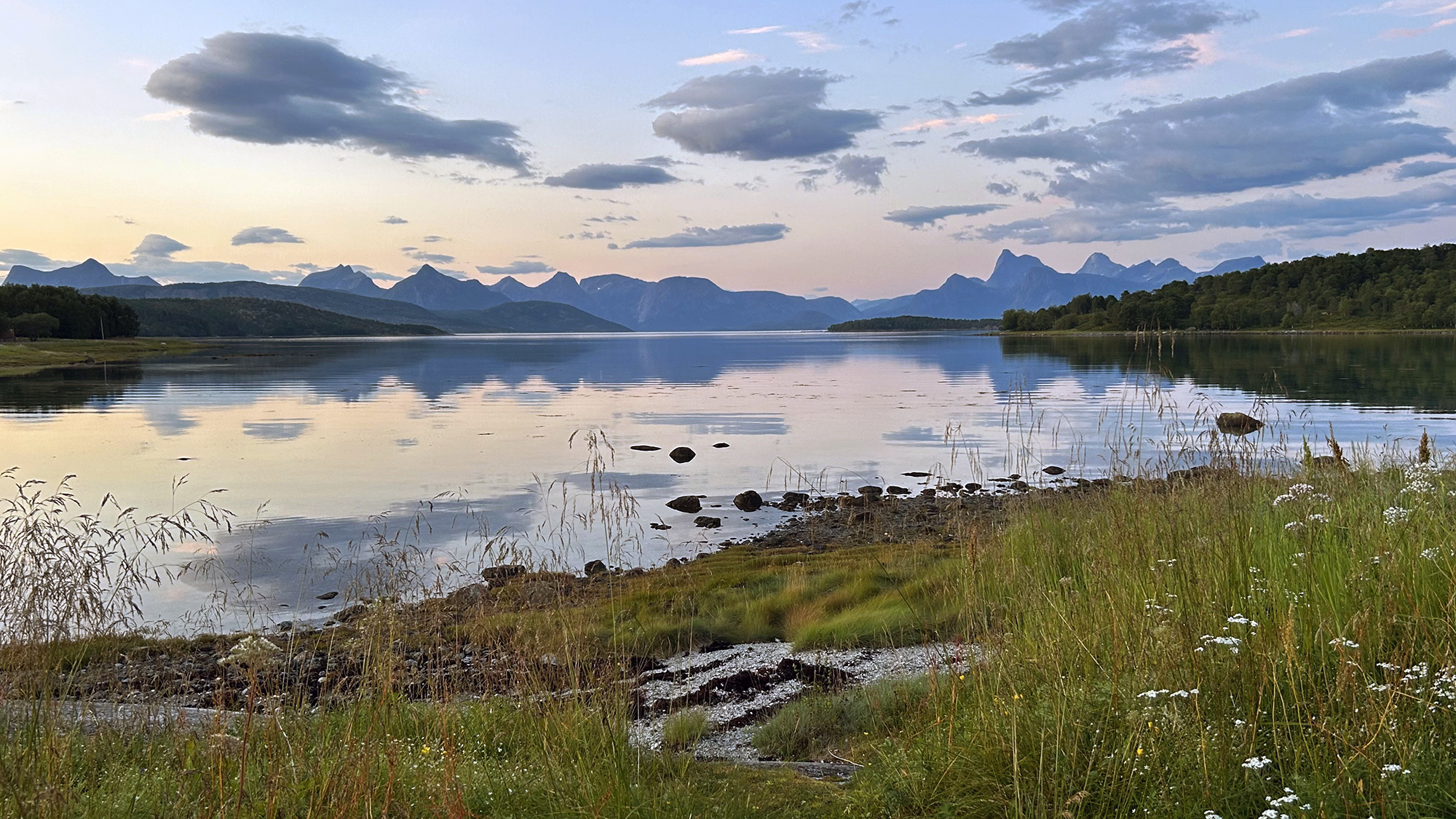 Fjord med fjære og eng i forkant og fjellrekke i bakgrunnen.