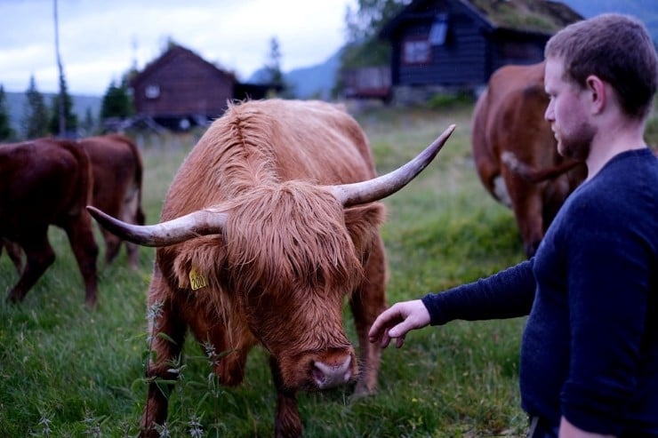Lars Ingvald Folkedal har p&aring; f&aring; &aring;r bygd opp ein vanleg vestlandsgard til ei allsidig verksemd som i dag teller omlag 6 &aring;rsverk