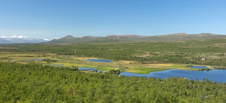 Våtmark