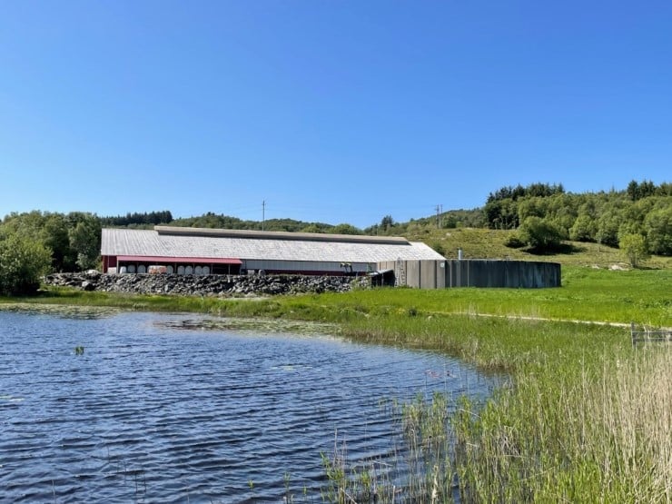 Lausdriftsfjøs og gjødsellager plassert i terreng med vatn.