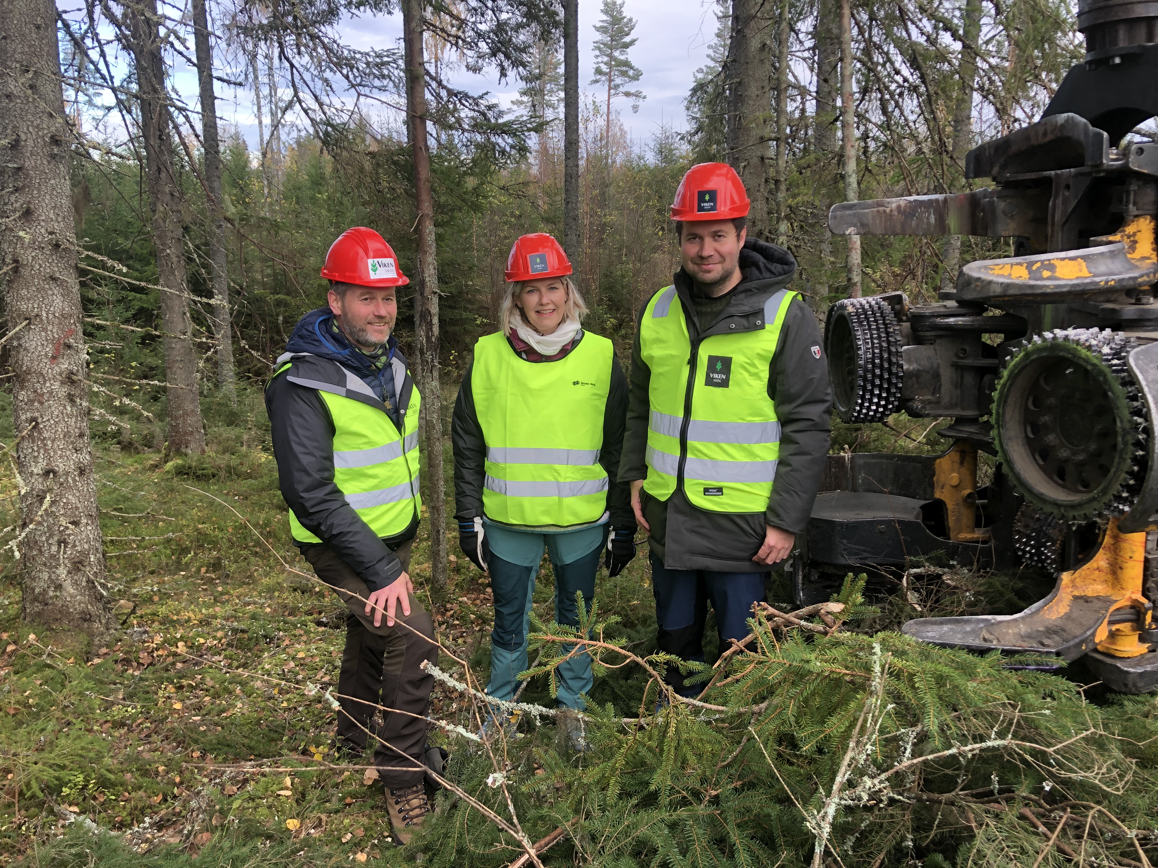 Bilde som viser mennesker med signalfarget vernetøy, røde hjelmer, skog, skogsmaskin