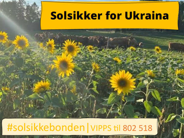 Bilde som vider gule blomster