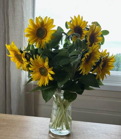 Bilde som viser gule blomster i en vase