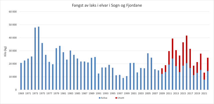 Stolpediagram som viser fangst av laks i vassdrag i Sogn og Fjordane i perioden 1969 - 2022. Utsatt fisk er inkludert.