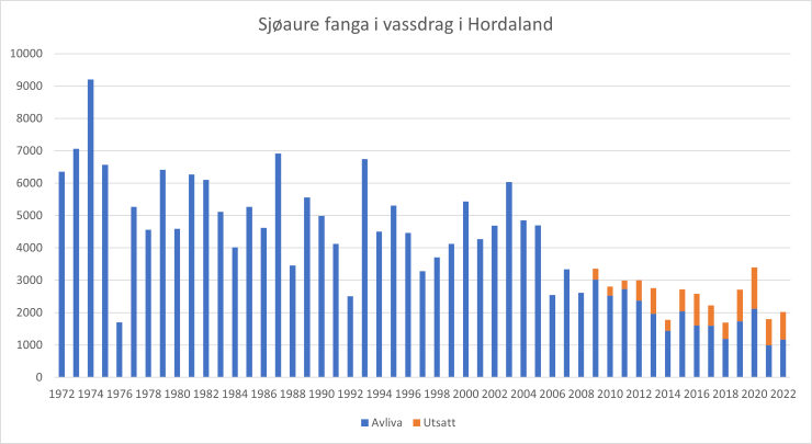 Stolpediagram som viser fangst av sjøaure i Hordaland i perioden 1972 - 2022. Frå 2009 er utsatt fisk inkludert i tala.